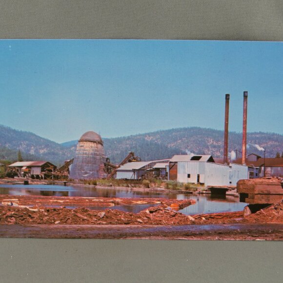 Vintage Postcard - Lumbermill Pacific Northwest USA - Canyon Publishing Co - Picture 1 of 4